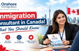 Immigration Consultant in Canada! What You Should Know